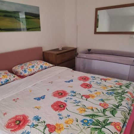 Apartmani Bilic Korenica Exterior photo